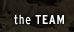 the TEAM